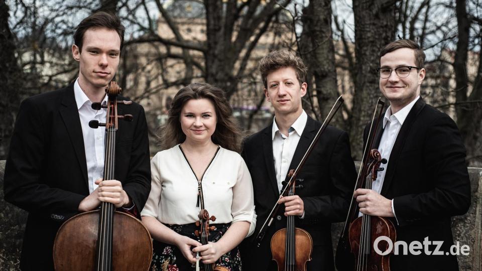 Das Ševčík-Quartett spielt am 27. Juli bei den Wurzer Sommerkonzerten. Bild: Michaela Pondelícková/exb
