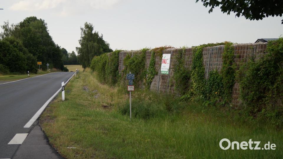 Die Bepflanzung des Lärmschutzwalls an der Staatsstraße soll besser in die Steine im Drahtgeflecht eingebunden werden Bild: wel