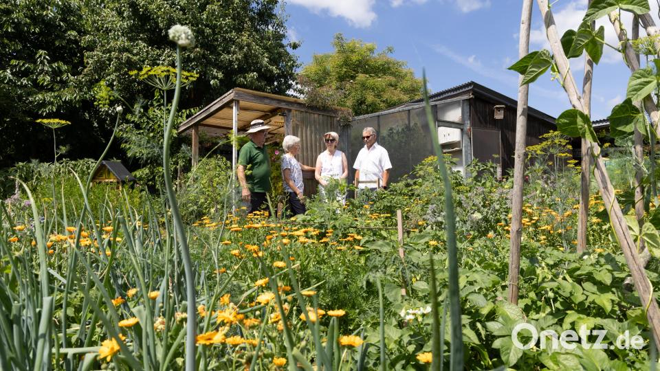 In der Schloßstraße öffnete Elisabeth und Rudi Gürtler ihren bereits seit 2020 zertifizierten Naturgarten. Bild: Roland Wellenhoefer