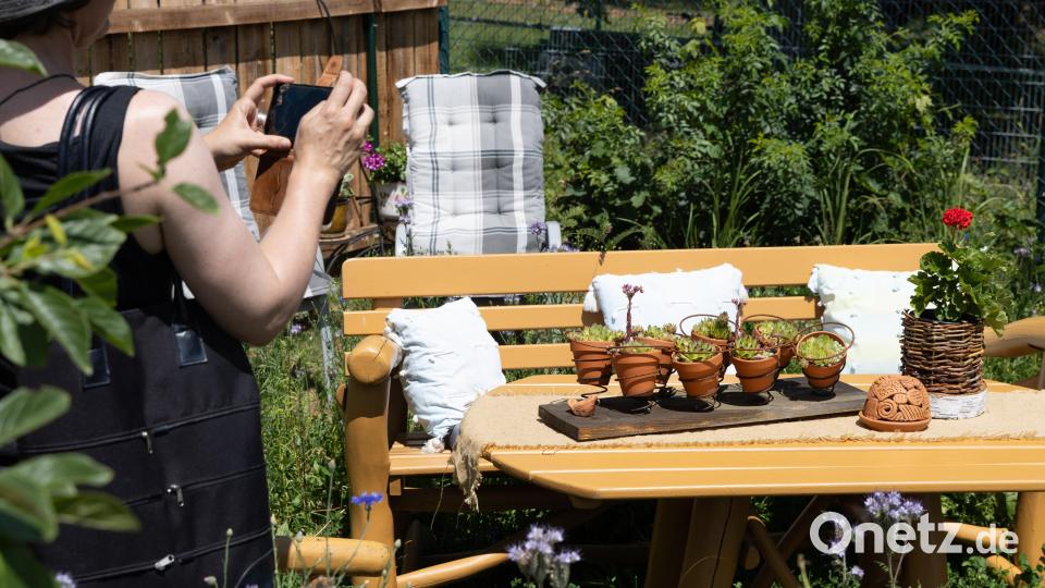 Im Laufe des Tages kamen mehrere hundert Gartenfreunde nach Erbendorf. Bild: Roland Wellenhoefer