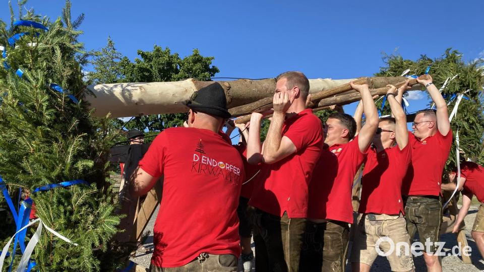 Mit vereinten Kräften bereiteten die Diendorfer Kirwaleit den Baum für das Aufstellen vor. Bild: aub