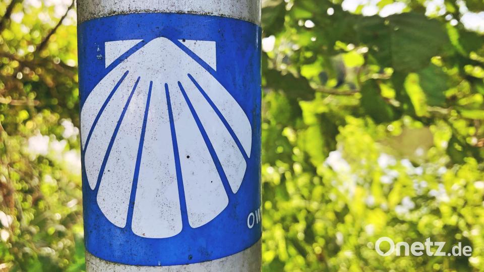 Die Muschel weist dir den Weg. Bild: Evi Wagner