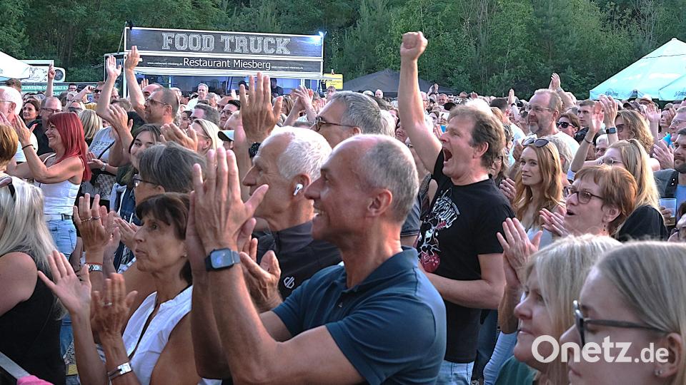 2000 begeisterte Fans rockten im Burglengenfelder Steinbruch mit der &quot;Spider Murphy Gang&quot;. Bild: Hirsch
