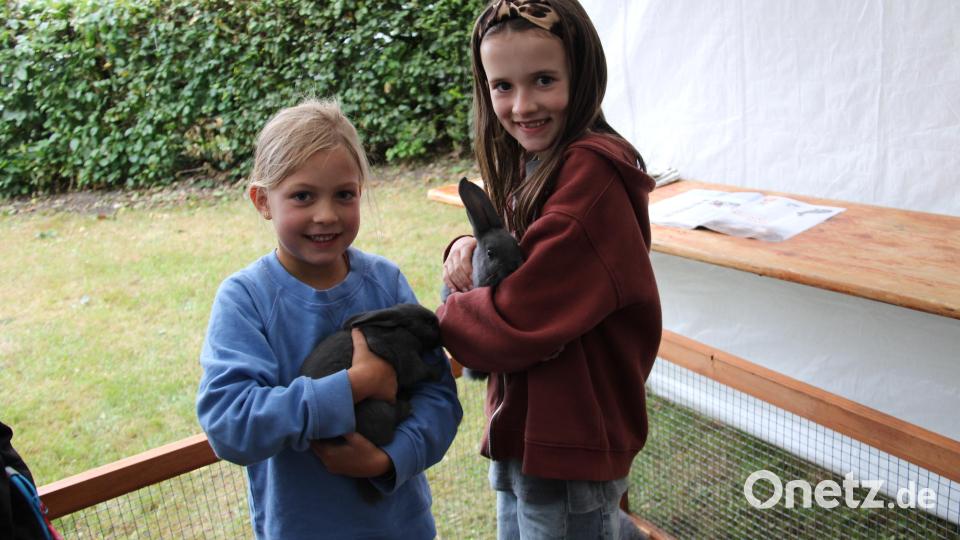 Auf Fellfühlung mit Häschen konnten die Kinder im Streichelzoo der Kleintierzüchter gehen. Bild: prh