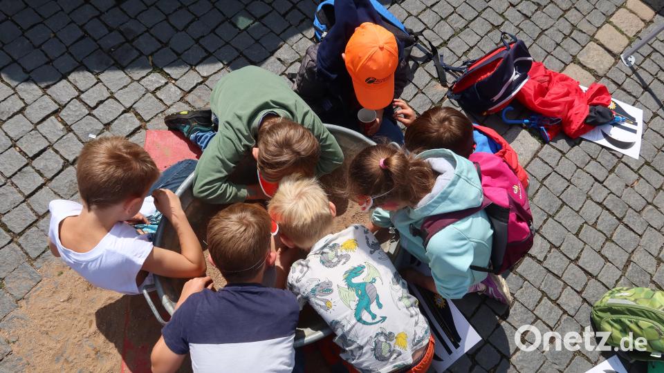 Auf Schatzsuche. Bild: Kunz