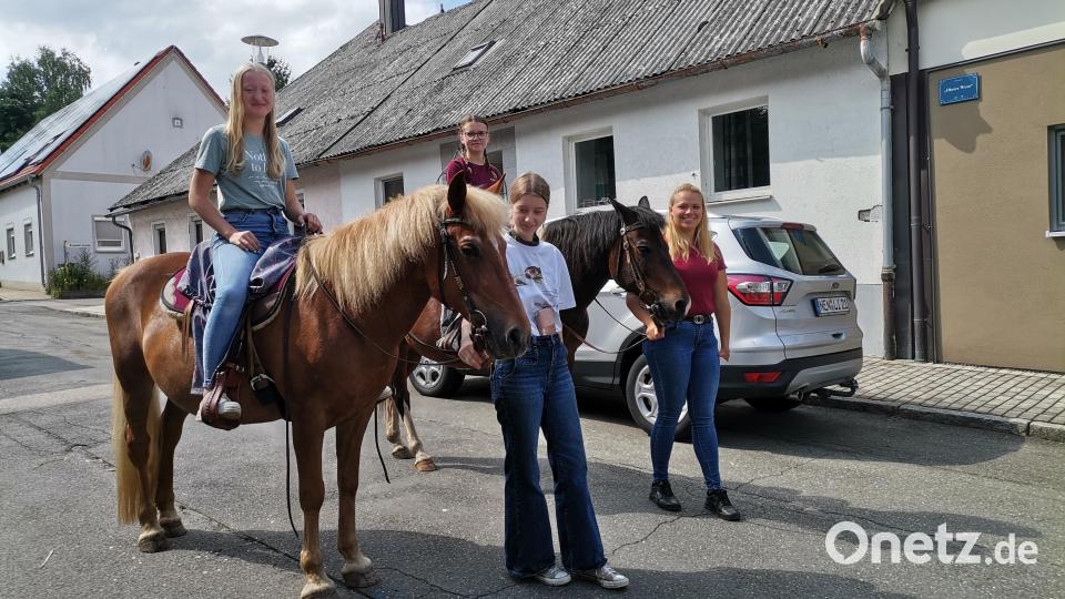 Gerne wurde eine Runde Reiten angenommen, ob kleine Reiter oder schon größer. Bild: amö