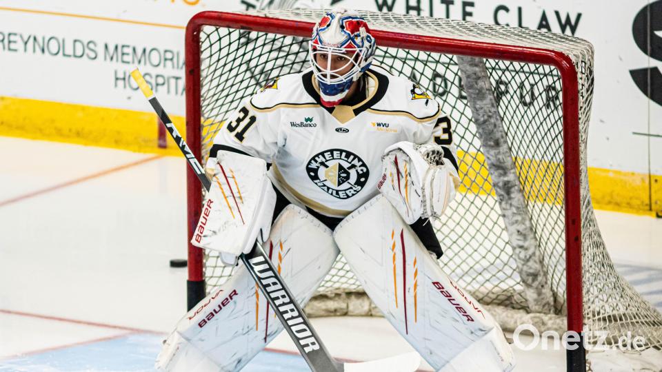 Michael McNiven ist der neue Torhüter der Blue Devils Weiden. Bild: Wheeling Nailers/Verein