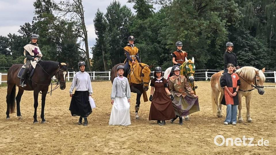 Beim 49. Reiterfest des Reitclubs am Kulm feiert der Verein gleichzeitig sein 50-jähriges Bestehen. Bild: whü