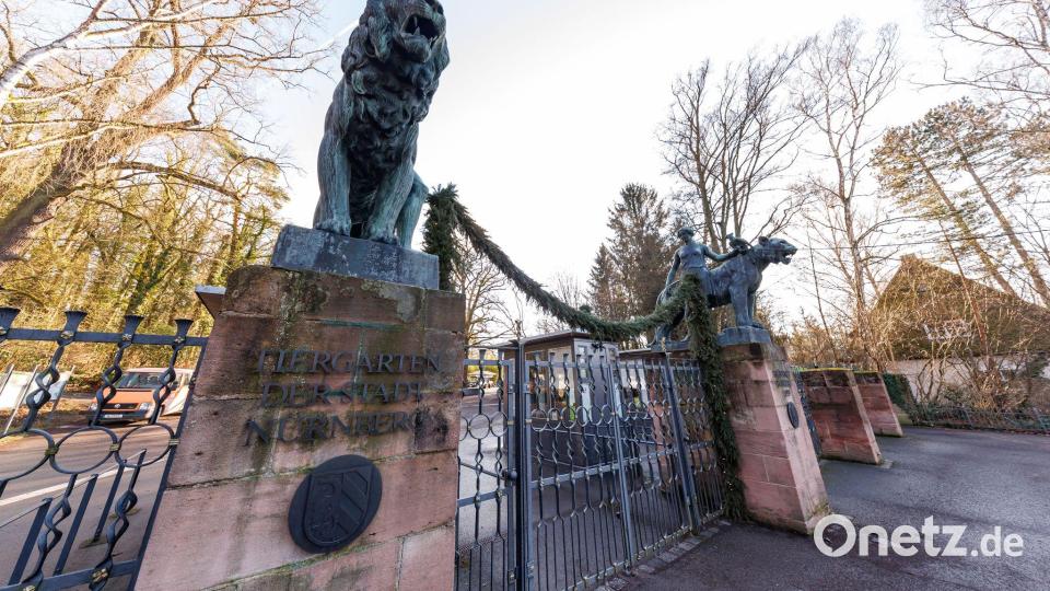Einige Aktivisten ketteten sich am Tor fest, andere kletterten an den Löwenstatuen hoch. Bild: Daniel Karmann/dpa