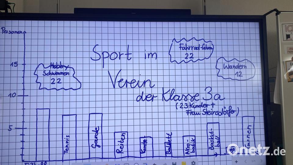 Die Umfrageergebnisse der Klasse 3a zum Thema &quot;Sport im Verein&quot;. Bild: Grundschule Neustadt