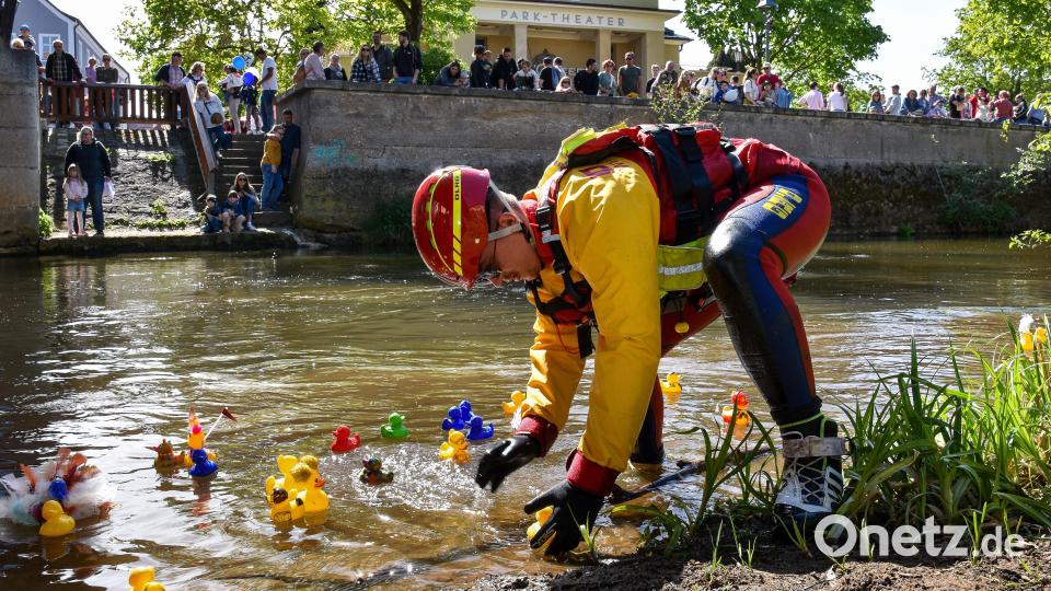 Am Schluss wurden ein paar Nachzügler aus dem Gestrüpp befreit. Bild: Stephan Huber