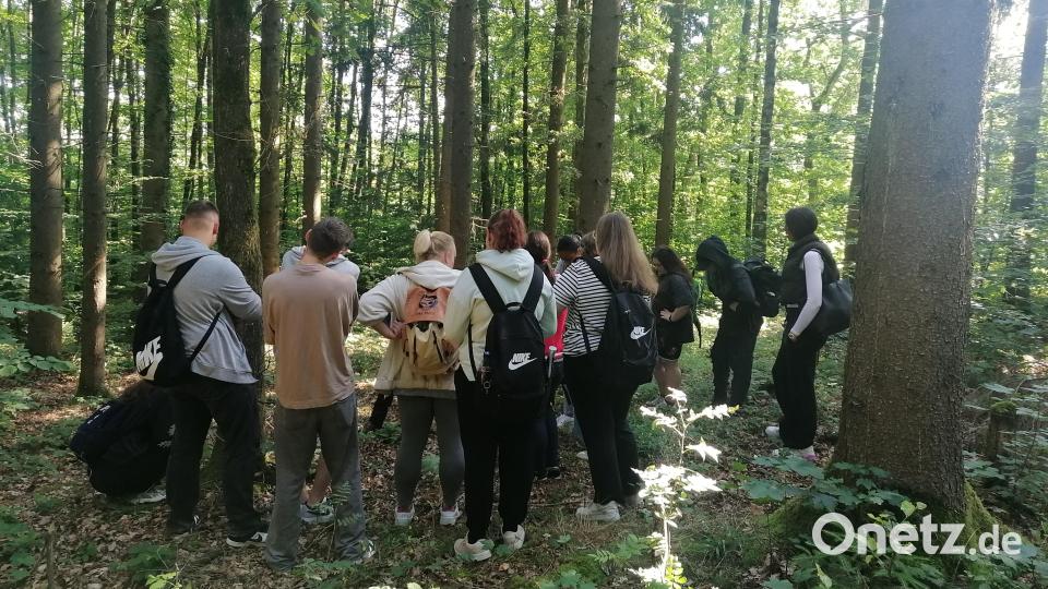 Waldtag Bild: Eva Gibhardt