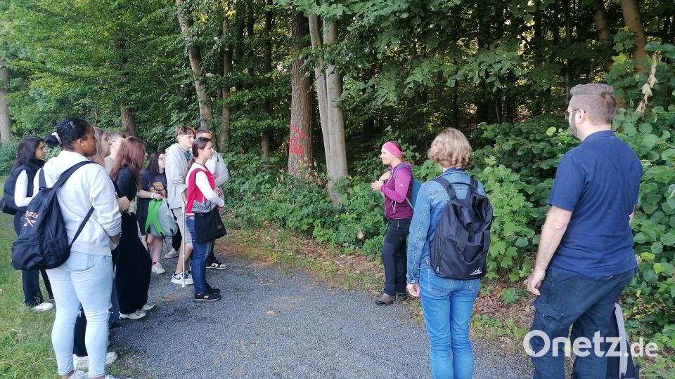 Waldtag Bild: Eva Gibhardt