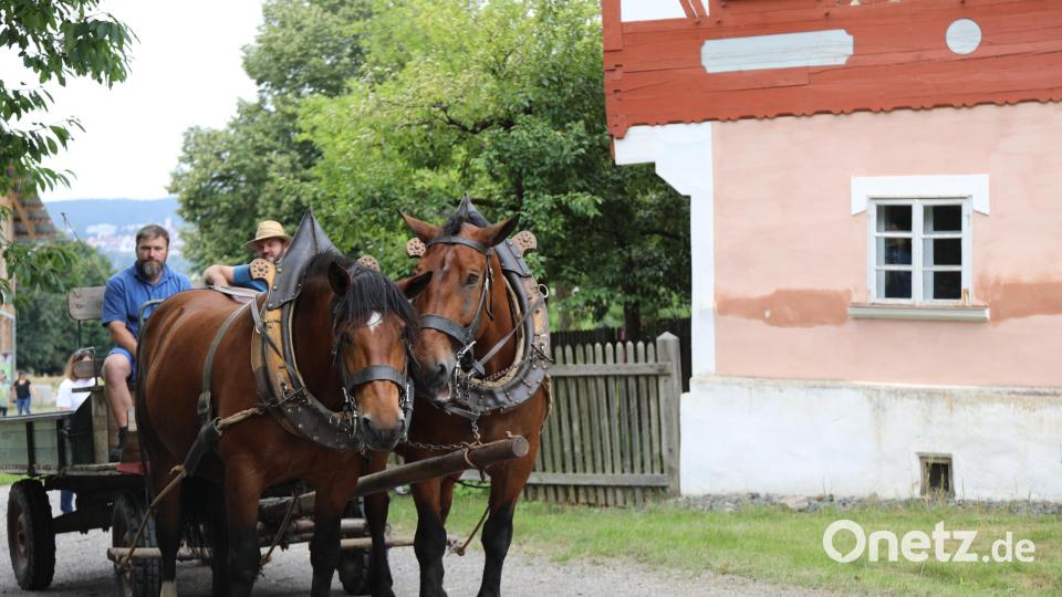 Historische Landtechnik stand im Freilandmuseum Oberpfalz im Mittelpunkt. Bild: Eva Gröninger