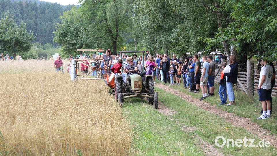 Der Tag der alten Landtechnik zog zahlreiche Besucher ins Freilandmuseum Oberpfalz. Bild: Eva Gröninger