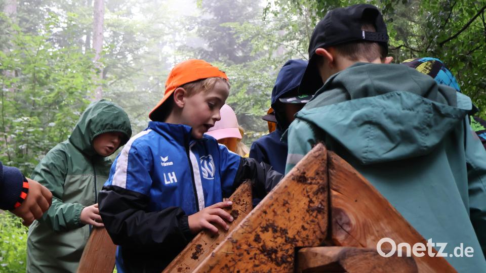 Aus kleinen Balken durften die Kinder der Fichtelnaabtal Schule Ebnath Neusorg selbst einen Dachstuhl bauen um spielerisch die Bedeutung von Holz als Bau-Rohstoff zu lernen. Bild: Judith Zeitler