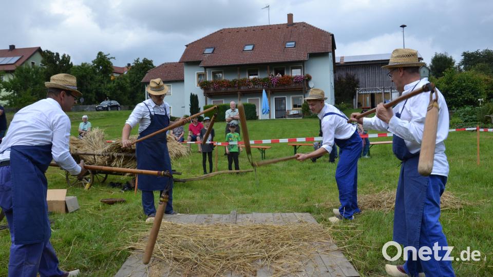 Nicht ganz einfach war das Dreschen mit dem Dreschflegel wie zu Großvaters Zeiten. Bild: gi