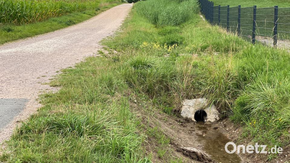 Auf diesem Feldweg schoss das Wasser hinab und überschwemmte den Kindergarten Moritz Bild: Völkl