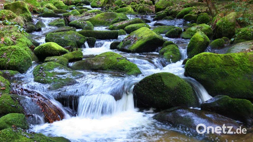 Das ganze Lerautal sieht aus wie aus dem Märchen. Bild: Ingrid Popp