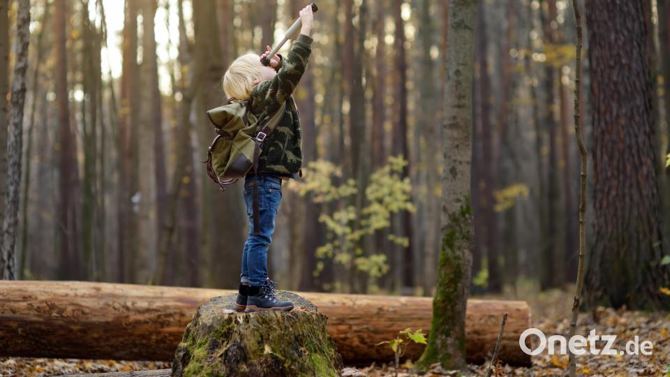 Es wird auf jeden Fall spannend. Bild: stock.adobe.com - Maria Sbytova