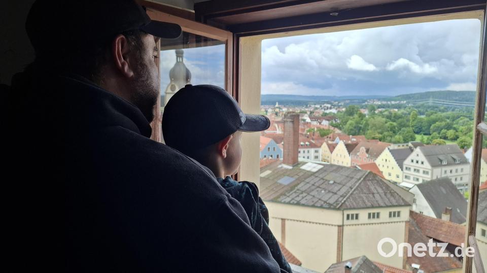 Vom Blasturm aus eröffnen sich herrliche Blicke über Schwandorf. Bild: jua