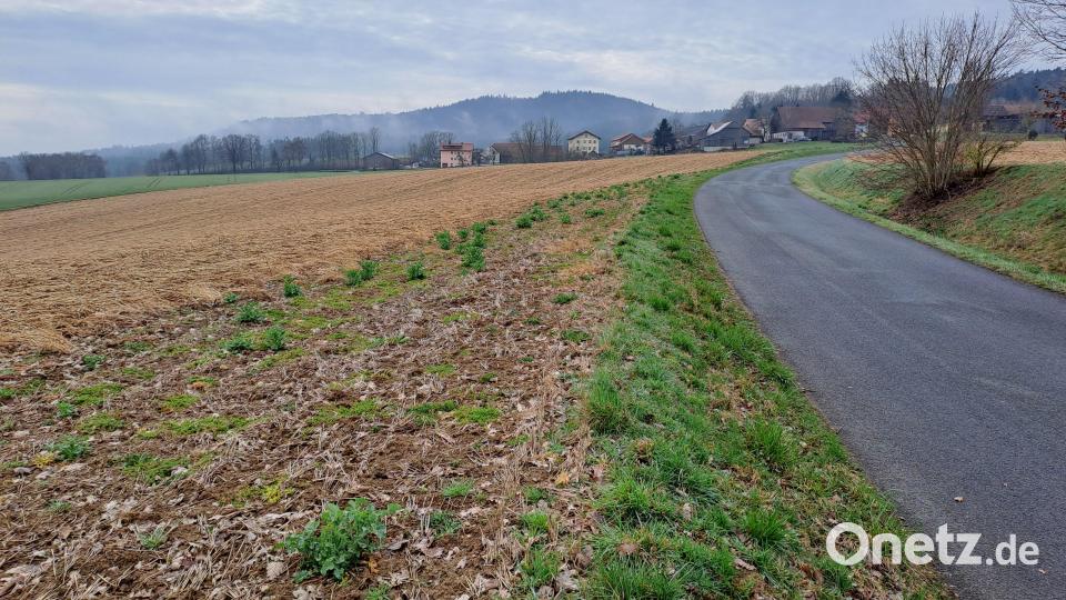 Der &quot;Solarpark Berg&quot; soll beim Ortsbereich Berg errichtet werden, die beiden Grundstücke sind durch die Gemeindeverbindungsstraße getrennt Bild: Gottfried Blank