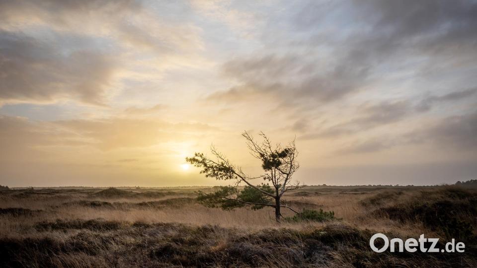 Winterliche Sonnenuntergangsstimmung auf Römö. Bild: Peter Müller