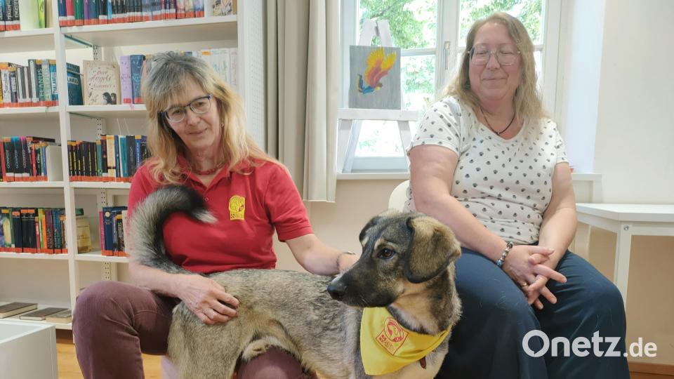 Beide Hunde gehören zur Besuchshundegruppe des Arbeiter-Samariter-Bundes in Pegnitz. Lese- und Besuchshunde haben eine &quot;positive Wirkung auf die Psyche der Menschen&quot;, sagt Leiterin Birgit Häußler (links). Auch Bibliotheksleiterin Petra Danzer ist froh über den tierischen Besuch. Bild: ald