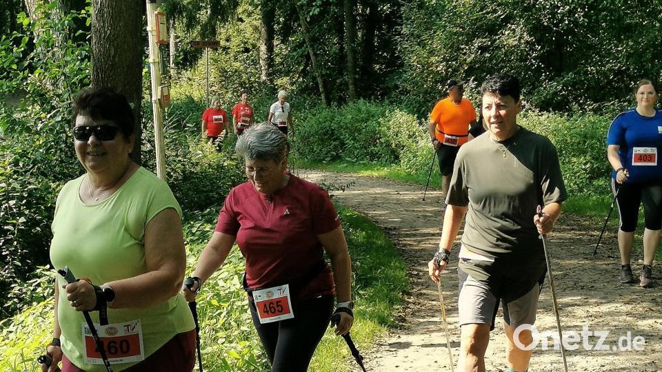Gute Laune herrschte beim Nordic Walking rund um den Hammersee. Bild: Franz Pretzl