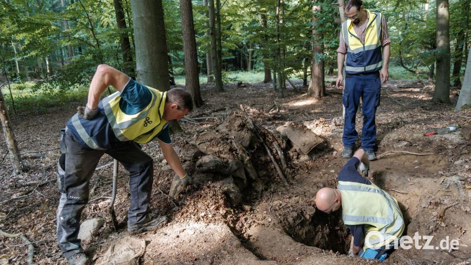 Sie gingen dabei zunächst von einer Raubgrabung aus. Bild: Markus Scholz/dpa