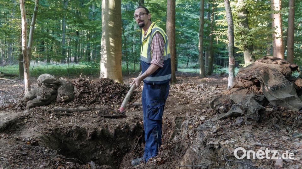 Grabungsleiter Christoph Unglaub sagt, das Denkmal sei zum Teil zerstört worden. Bild: Markus Scholz/dpa