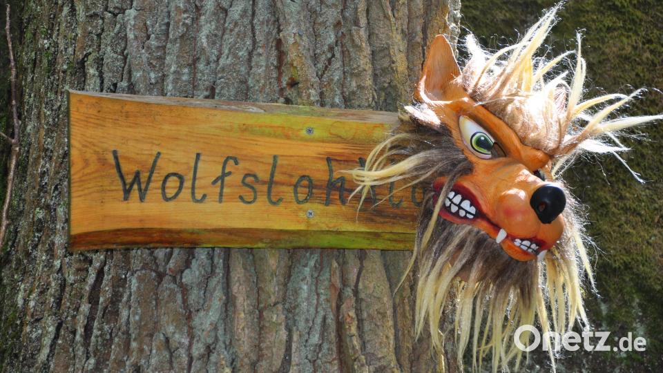 Die Wolfslohklamm ist ein magischer Ort. Bild: Eva Ehmann