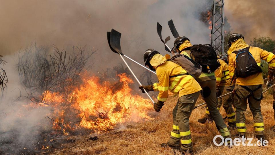 Die Einsatzkräfte bekommen Unterstützung aus Deutschland. (Archivfoto) Bild: Lalo R. Villar/AP/dpa