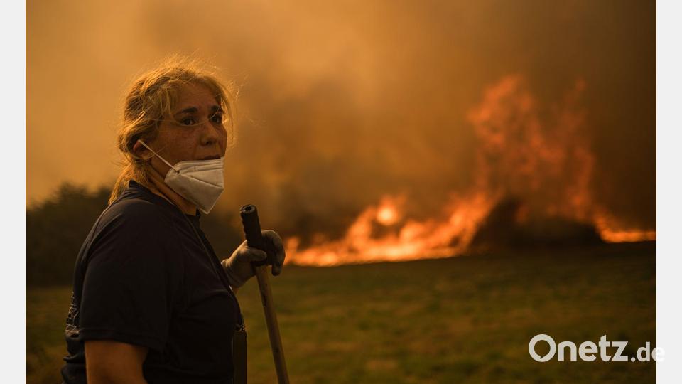 Betroffen von Bränden in Spanien sind vor allem dünn besiedelte Gebiete. (Archivfoto) Bild: Elena Fernandez/ZUMA Press Wire/dpa