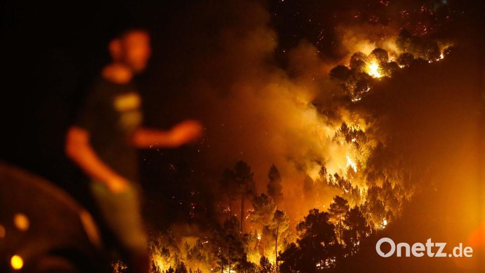 Ein Mann ist vor den Flammen eines Brandes im spanischen Quiroga zu sehen. In Galicien gibt es derzeit gleich mehrere Brände, bei denen bisher zehntausende Hektar an Wald- und Vegetationsfläche verbrannt sind. Bild: Carlos Castro/EUROPA PRESS/dpa