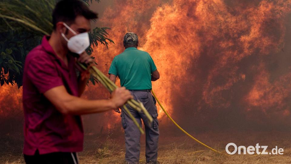Bisher wurden vor allem dünn besiedelte Gebiete in Mitleidenschaft gezogen. Bild: Pablo Garcia/AP/dpa