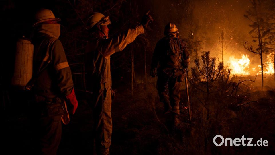 Vor allem das Ende der rund zweiwöchigen Hitzewelle in Spanien mit Höchsttemperaturen von mehr als 40 Grad kam den Brandbekämpfern zugute. Bild: Lorena Sopêna/EUROPA PRESS/dpa