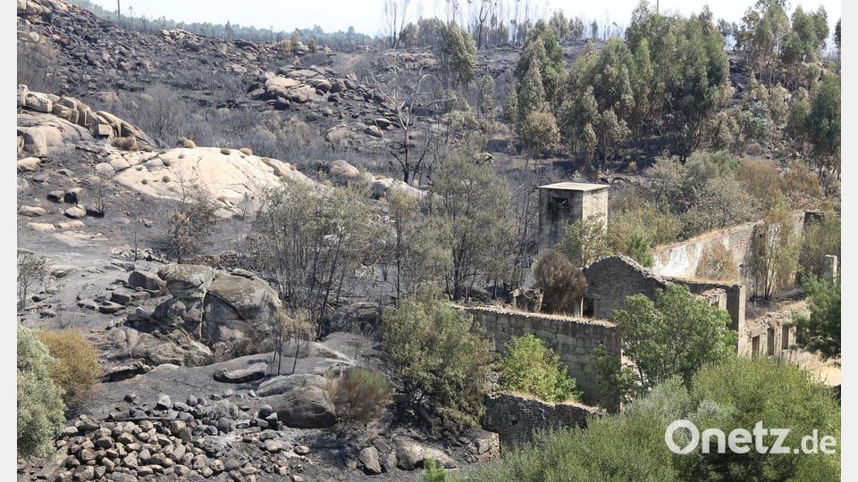 Die Zahl der Todesopfer der verheerenden Waldbrände ist in Portugal gestiegen. Historische Dörfer mussten evakuiert werden. Bild: Xun Wei/XinHua/dpa