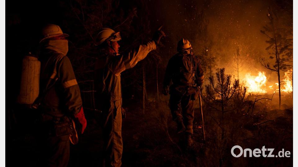 Kamp gegen die Flammen rund um die Uhr: Waldbrandbekämpfer in Spanien im Einsatz. Bild: Lorena Sopêna/EUROPA PRESS/dpa