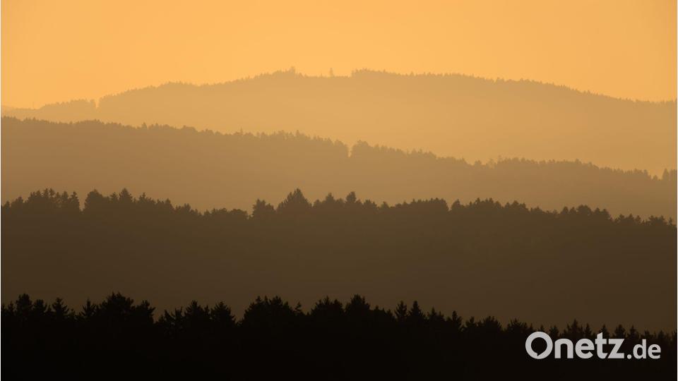 Orangefarbenes Morgenlicht über den Wäldern des Schwarzwalds. Bild: Silas Stein/dpa