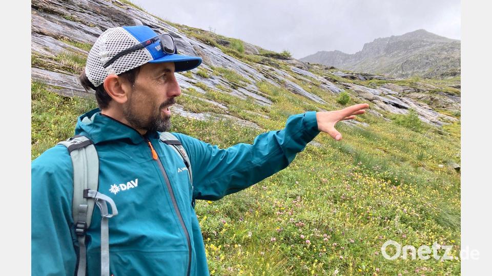 Der DAV-Geowissenschaftler Tobias Hipp zeigt auf die Vegetation - hier war früher Gletscher. Bild: Sabine Dobel/dpa