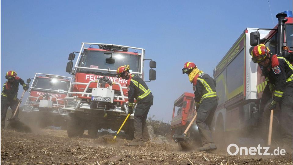 Neben Kollegen aus anderen europäischen Ländern waren auch 67 Feuerwehrleute mit ihren Fahrzeugen aus Niedersachsen und Nordrhein-Westfalen in Spanien im Einsatz. Nach gut einer Woche traten sie die Rückreise an. (Archivbild) Bild: Sven Käuler/dpa