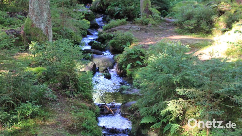 Idyllisch: Die Waldnaab plätscherte neben dem Festgottesdienst vor sich hin. Bild: kro