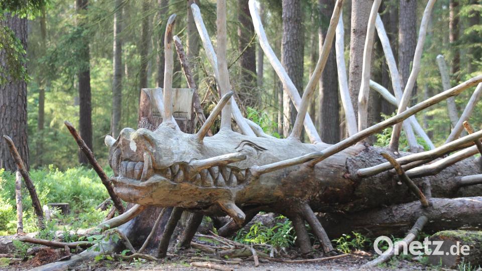 Hier triffst du zum Beispiel einen stacheligen Drachen. Bild: Stephanie Wenisch, Oberpfälzer Wald