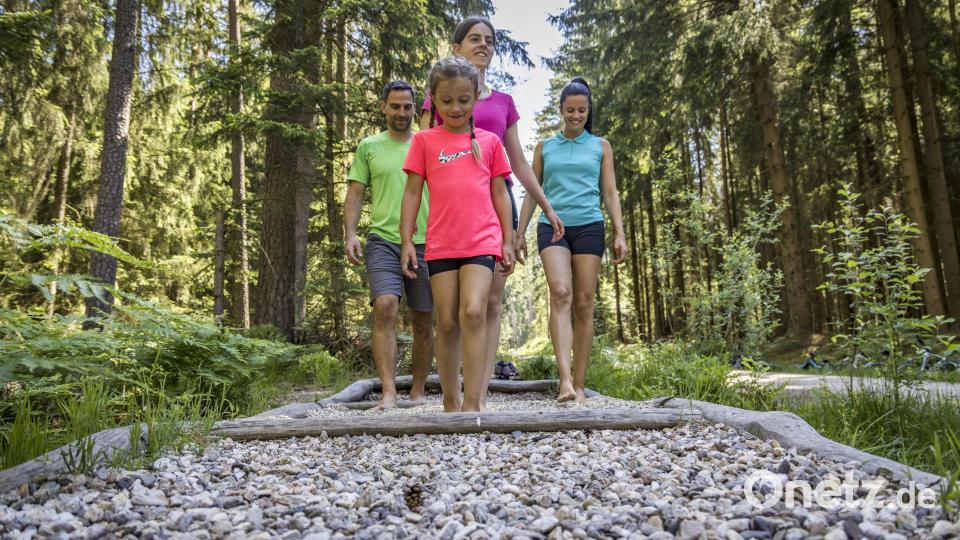 Der Walderlebnispfad macht nicht nur im Sommer, sondern auch im Herbst Spaß. Bild: Thomas Kujat, Oberpfälzer Wald