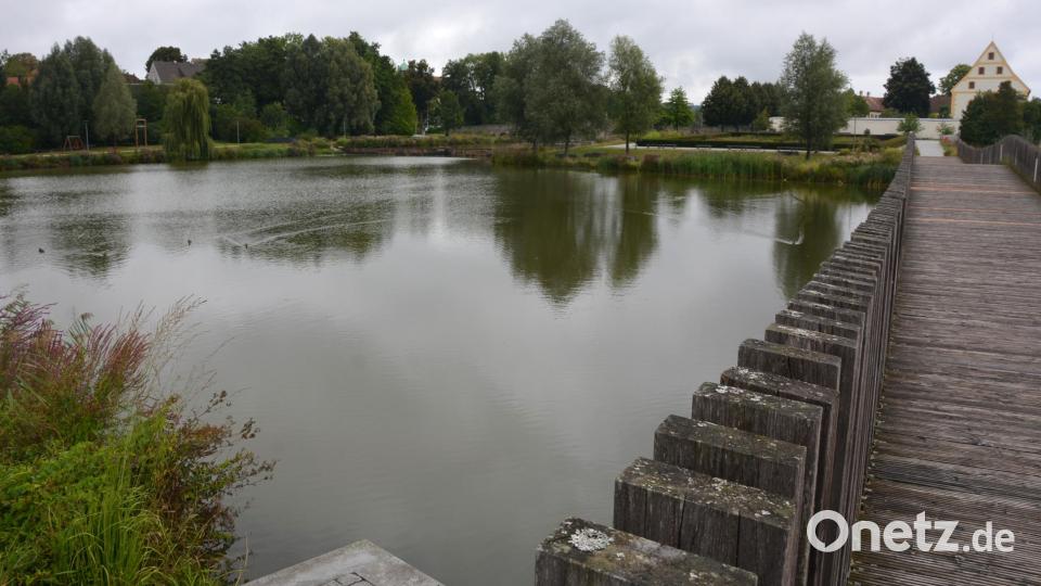 Auf der Max-Gleißner-Brücke ist der Zieleinlauf der jüngsten Teilnehmer, der U 8. Bild: jr