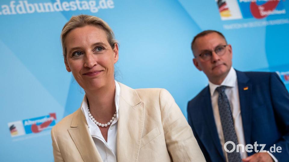 „An der AfD wird man nicht mehr vorbeiregieren können“, meint Alice Weidel. (Archivfoto) Bild: Michael Kappeler/dpa