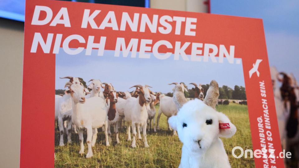 Brandenburg wirbt mit einer neuen Kampagne für Zuzüge aus Westdeutschland. (Archivbild) Bild: Annette Riedl/dpa