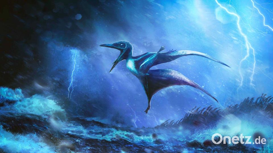 Starke Windböe brechen die zarten Knochen: Künstlerische Darstellung eines kleinen Pterodactylus-Babys in einem Tropengewitter. Bild: Rudolf Hima/EurekAlert/dpa