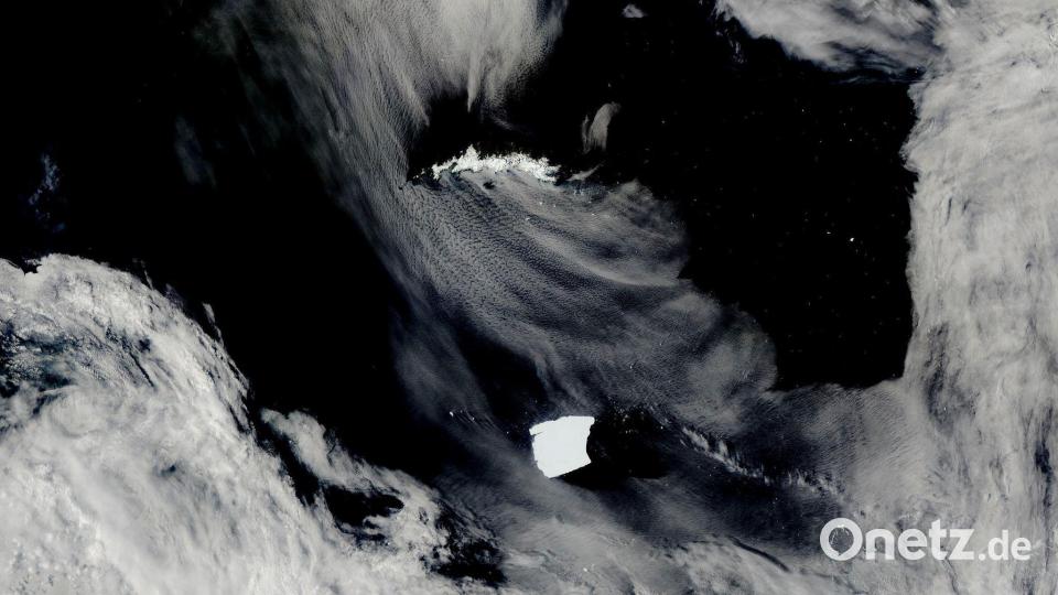 A23a Anfang des Jahres, als er auf die Insel Südgeorgien zusteuerte. Bild: Uncredited/NASA Worldview/AP/dpa